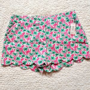 Crown & Ivy shorts| Size 14| Nwt| Pink & Green